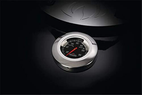 Napoleon Charcoal Grill (47 Cms, Black)