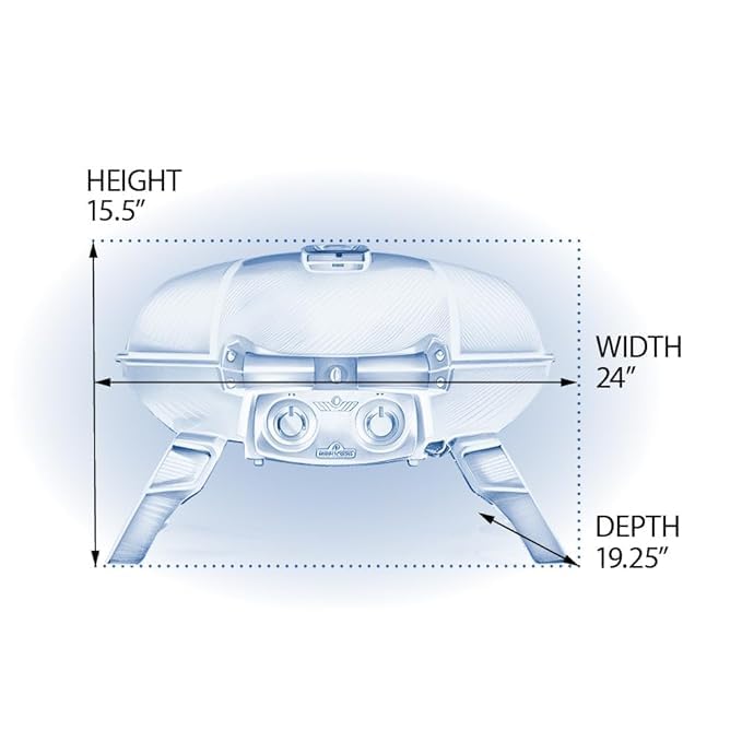 Napoleon Portable Travel Q LPG Gas Grill TQ 285 BK - 1 - CE Black