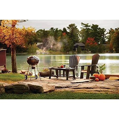 Napoleon Charcoal Grill NK22K-LEG-2 (57 cm, Black)