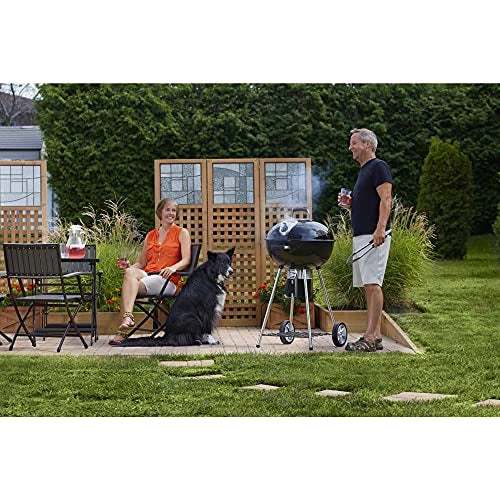 Napoleon Charcoal Grill NK22K-LEG-2 (57 cm, Black)