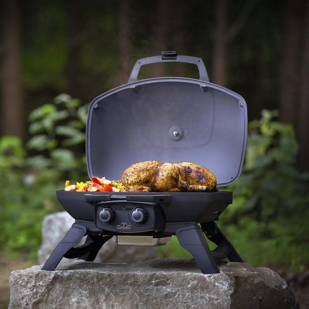 Napoleon Portable Travel Q LPG Gas Grill TQ 285 BK - 1 - CE Black