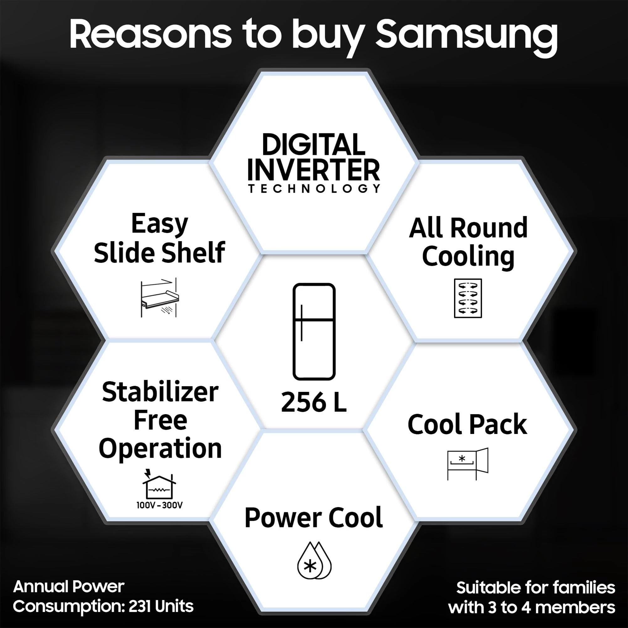 Samsung 256L 3 Star Digital Inverter Frost-Free Double Door Refrigerator Appliance (RT30C3433S9/HL,Refined Inox)