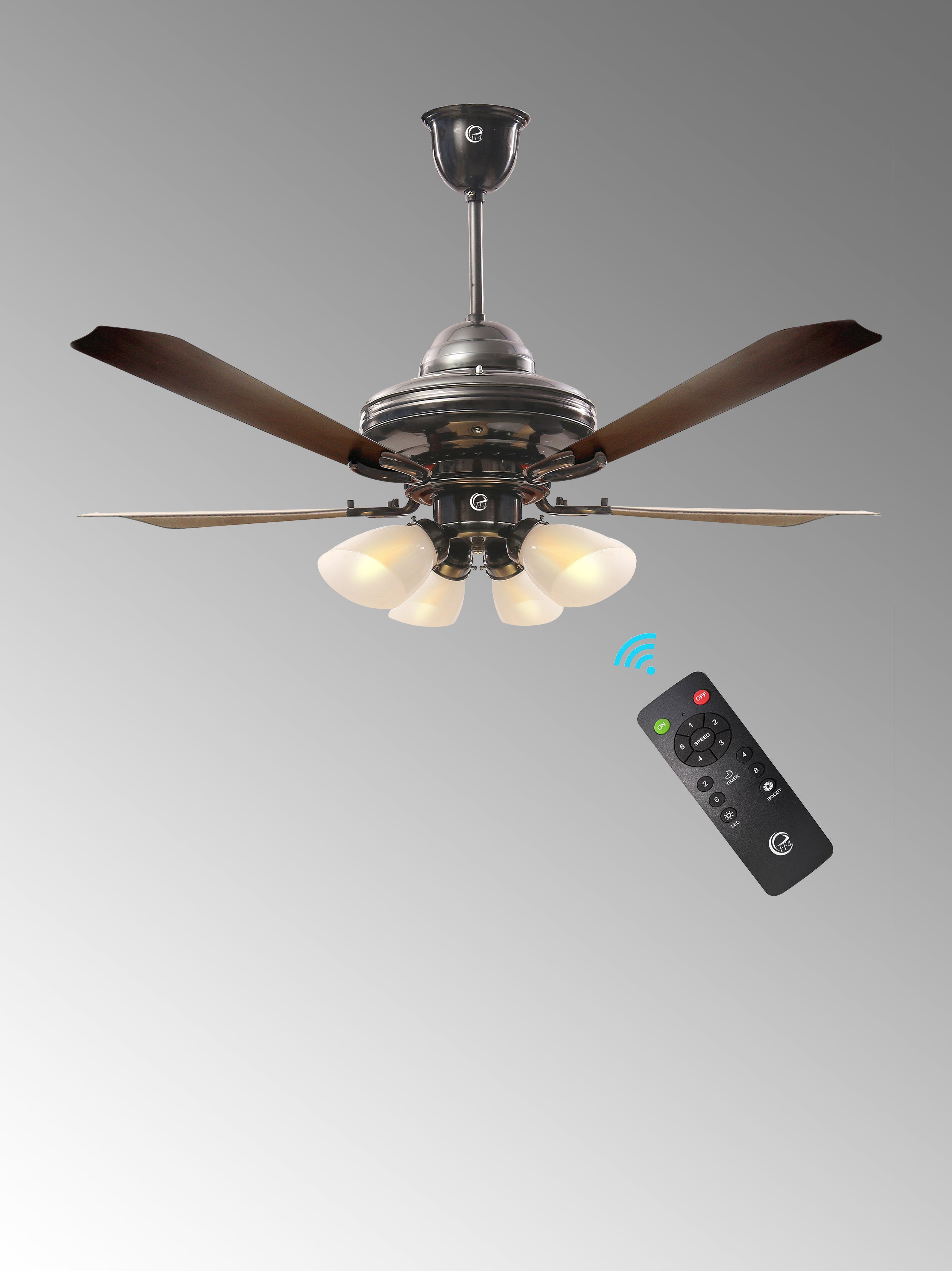 Celing Fans