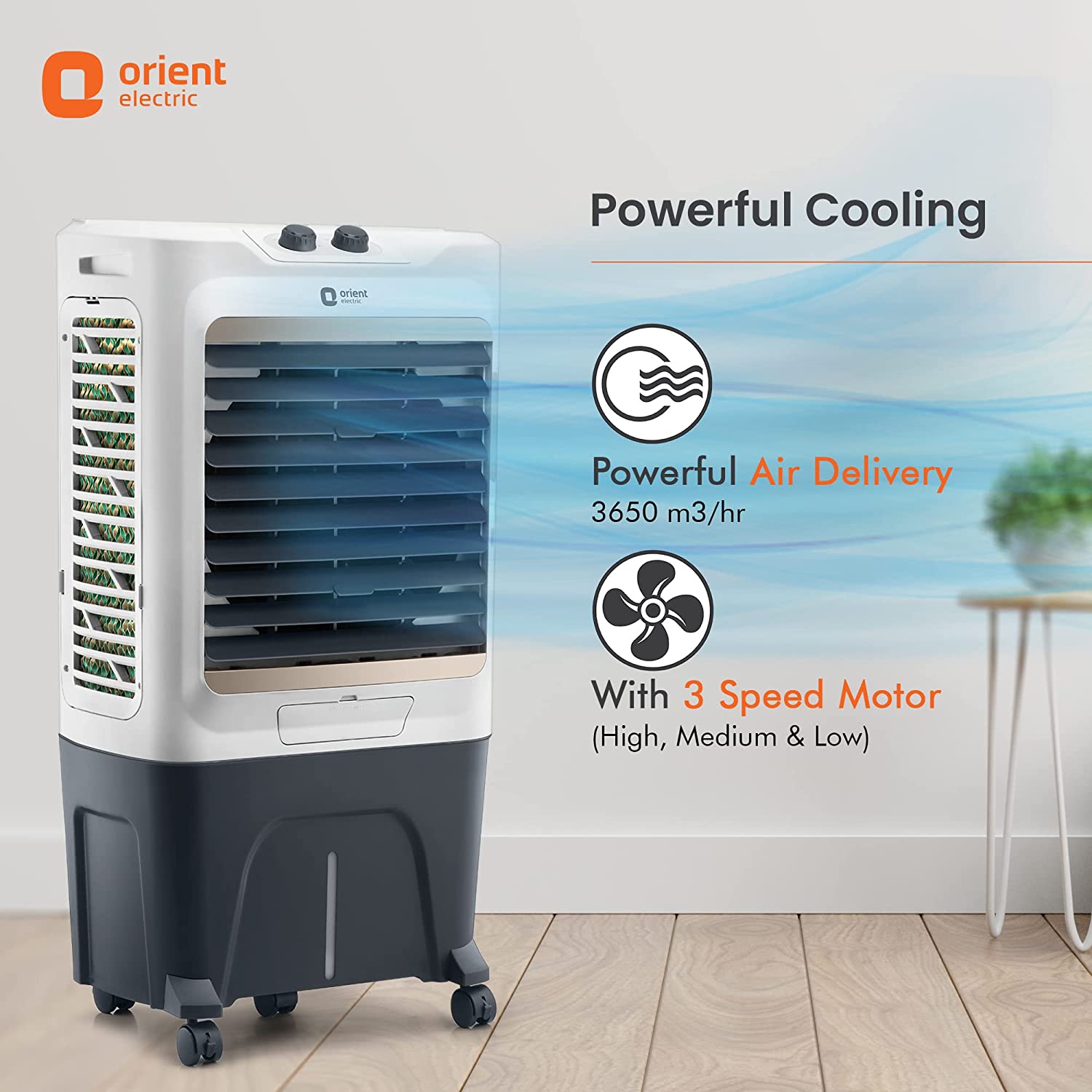 Orient Electric Tornado 52, White Grey (CD5201H)