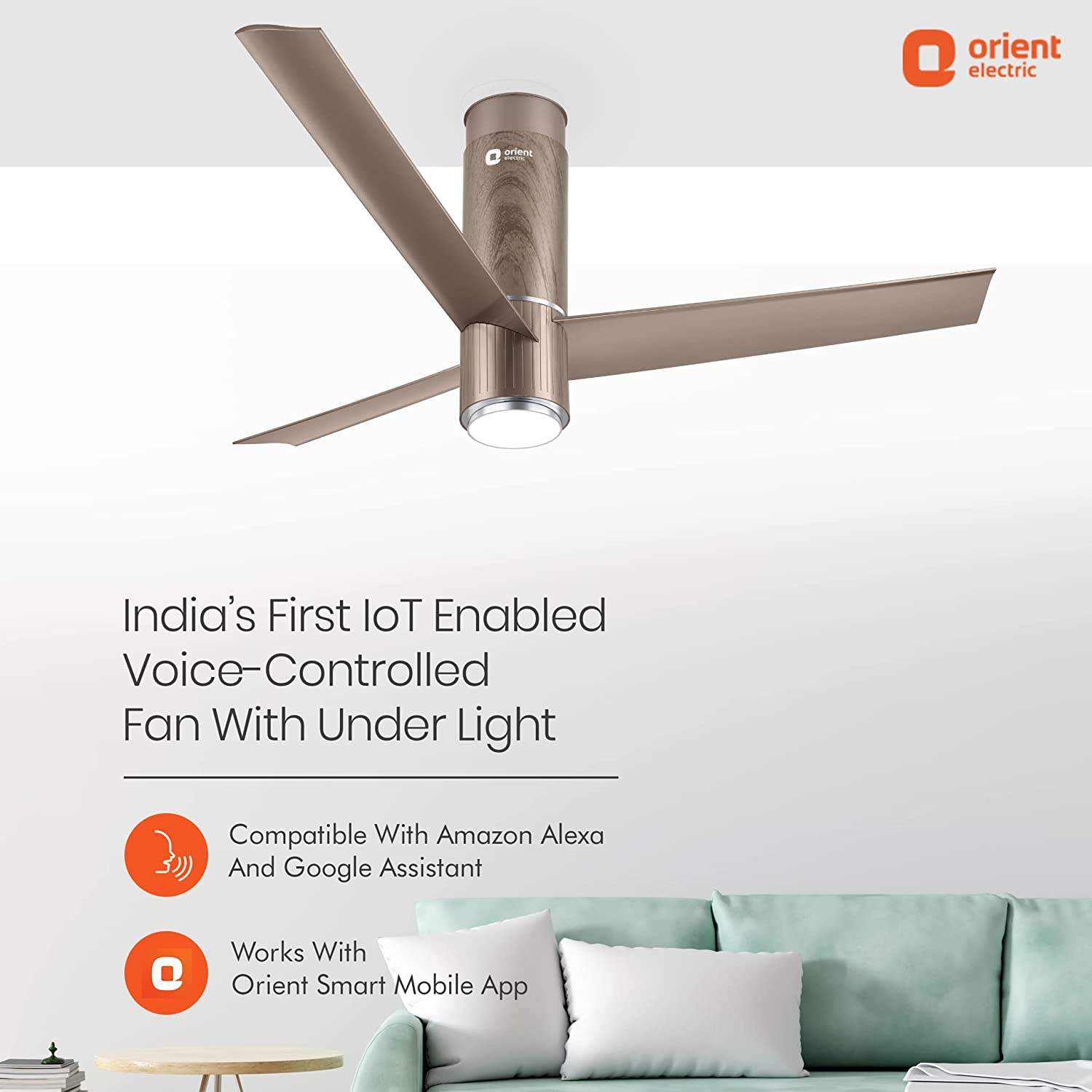 Orient Electric 1200mm BLDC Motor Fan Under light Brown