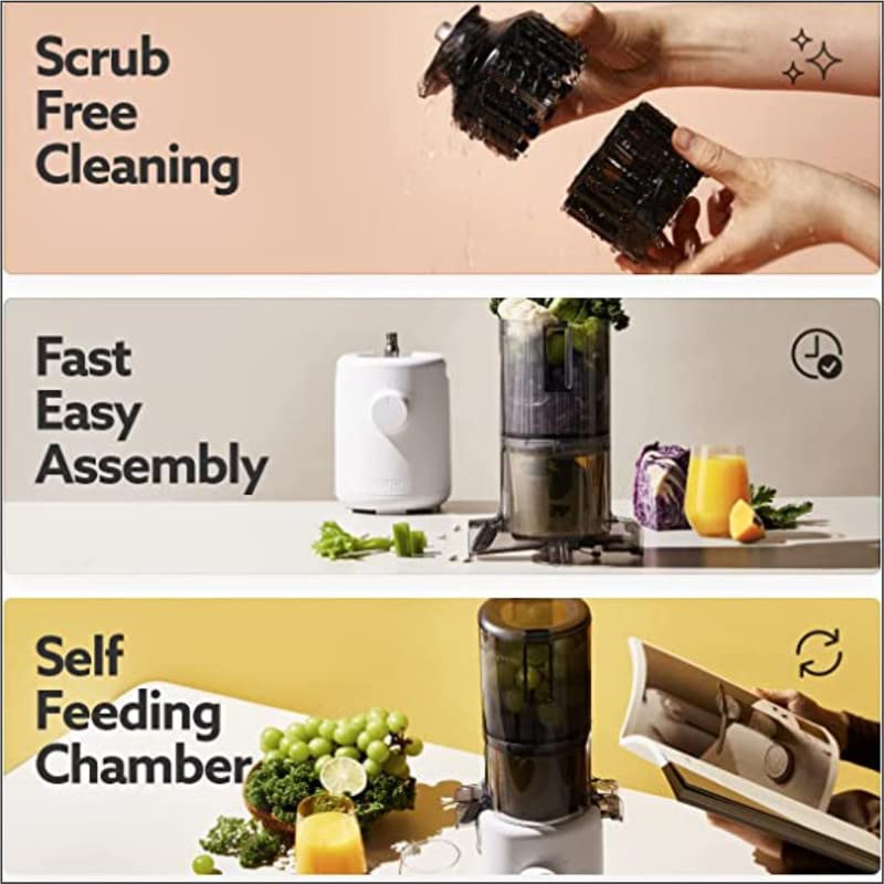 Hurom H310A Self-Feeding Cold Press Whole Slow Juicer All-in-1 multi-screw Technology from soft or hard fruits/vegetables to ice cream Made in Korea Charcoal