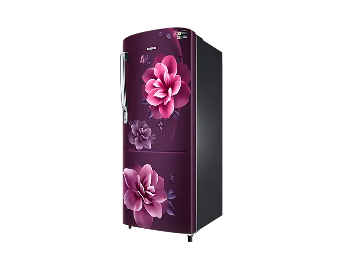 Samsung Refrigerator DC 230 L Single Door 3 Star BEE Rating RR24C2723CR/NL