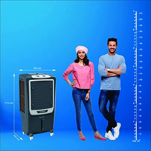 Crompton Gale DAC Desert Air Cooler- 60L, with Honeycomb pads, Grey, (ACGC-GALEDAC60)