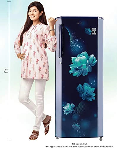 LG 270 L 3 Star Inverter Direct-Cool Single Door Refrigerator (GL-B281BBCX, Blue Charm, Moist 'N' FRESH)