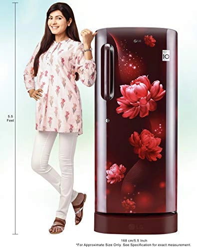 LG 235 L 4 ஸ்டார் இன்வெர்ட்டர் டைரக்ட்-கூல் சிங்கிள் டோர் ரெஃப்ரிஜிரேட்டர் (GL-D241ASCY, ஸ்கார்லெட் சார்ம், டிராயருடன் கூடிய பேஸ் ஸ்டாண்ட்)
