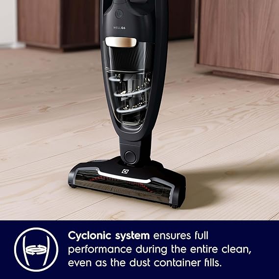 Electrolux WQ61-1EGG Cordless Vacuum: Powerful Cleaning for Your Home