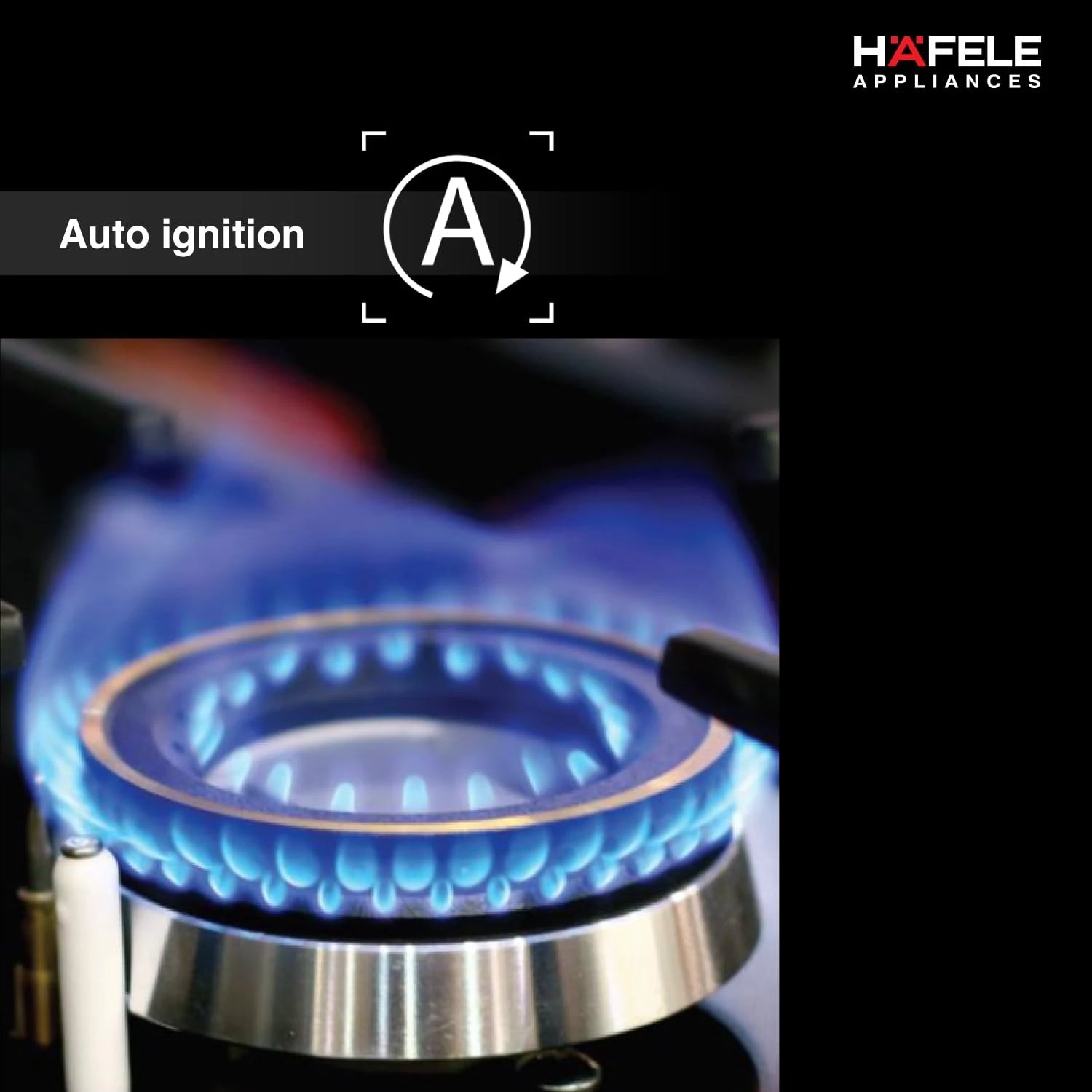 Hafele Magna Plus 480 Built-In Hob gas Stove 4 Brass Burner, Electronic Igntion
