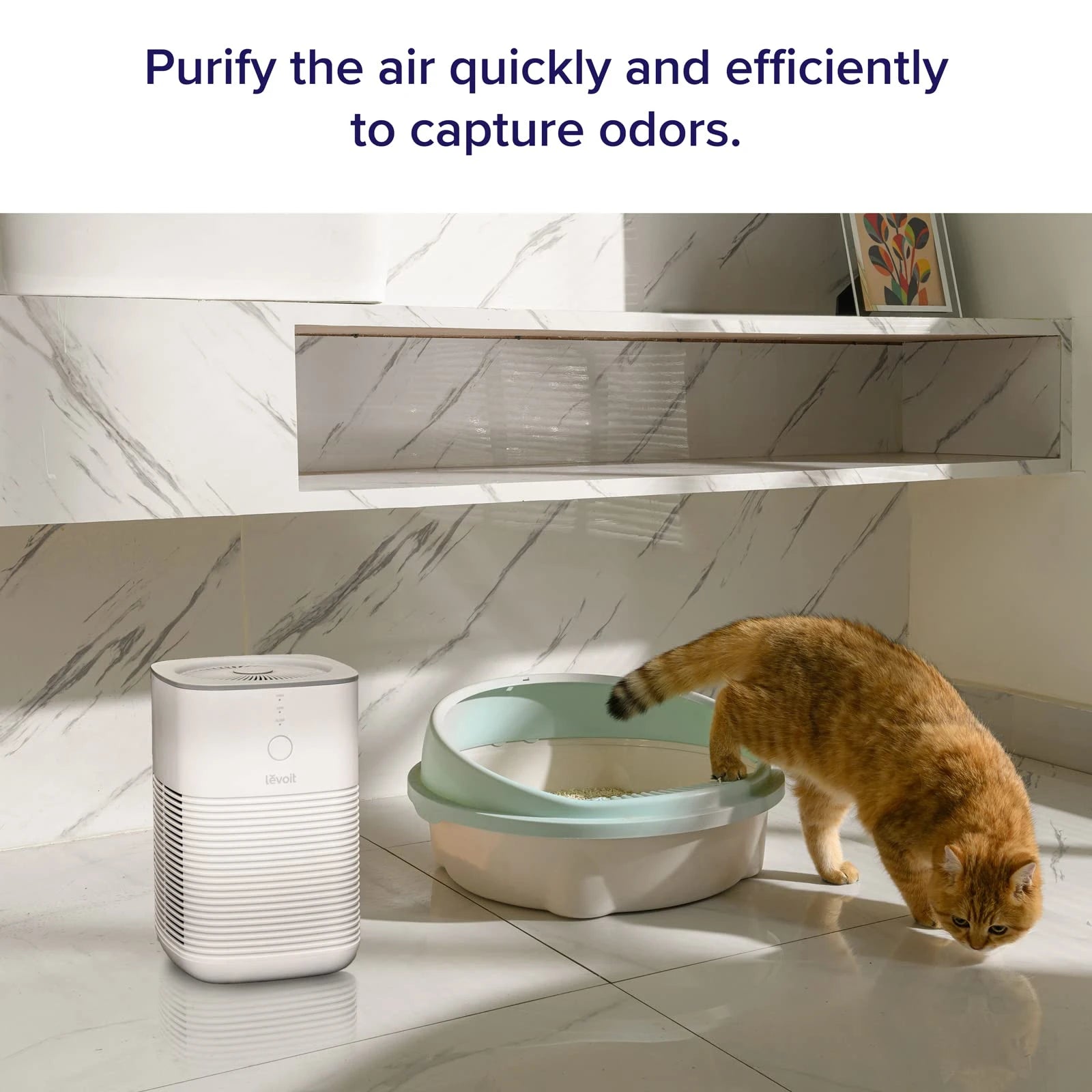 LEVOIT CA Bedroom Air Purifier, Dual H13 HEPA Filter, 99.97% Dust Mold Pollen, Pet Dander, Desktop Cleaner, Aromatherapy, 100% Ozone-Free, White