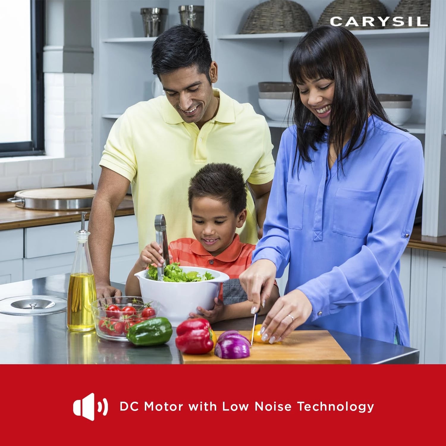 Carysil Food Waste Disposer for Kitchen Sink, 1/2 HP Heavy Duty with Air Switch, Powerful 2500 RPM DC Motor with Low Noise, Stainless Steel Grinding Components, Fits under the Kitchen Sink, Black