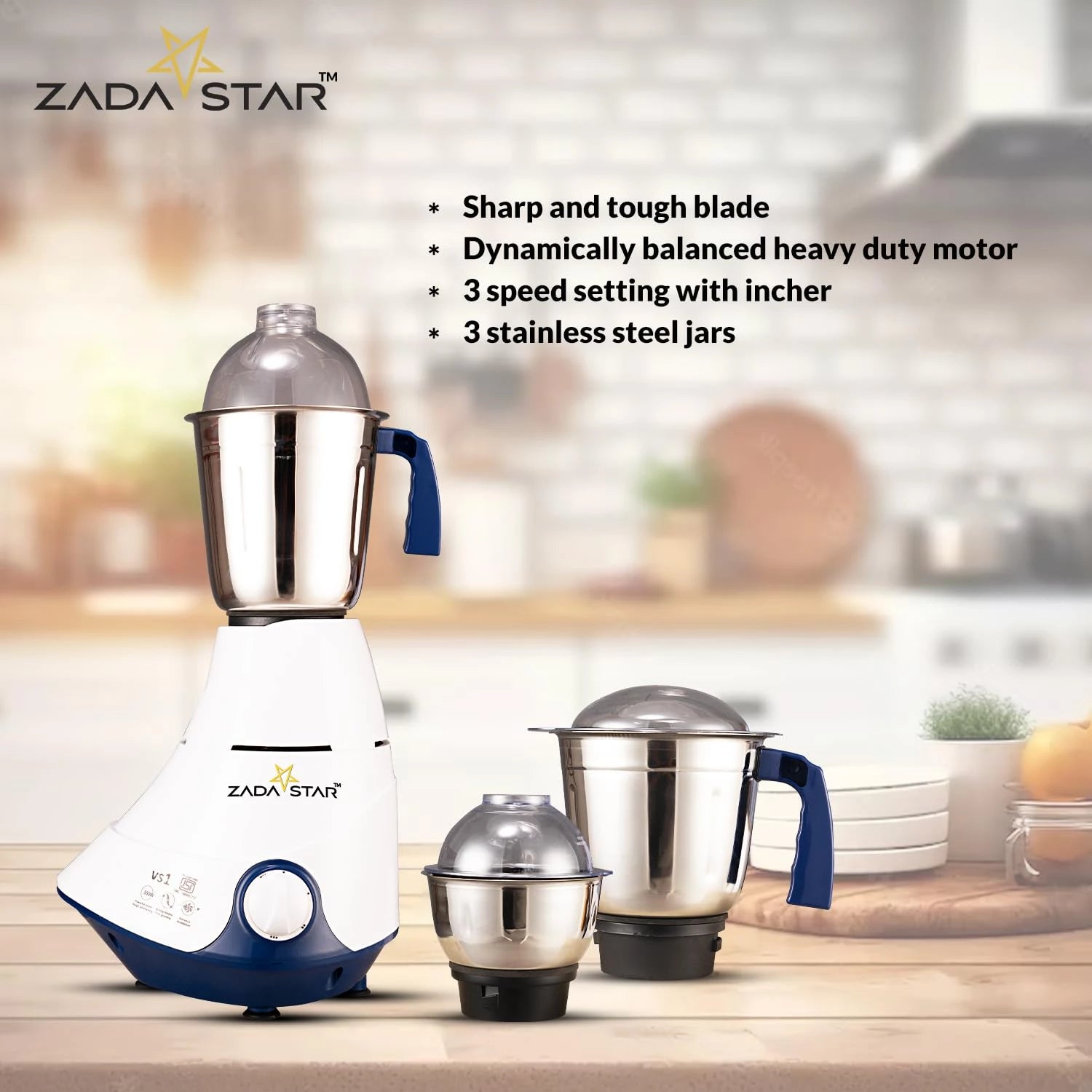 SKYLINE ZADASTAR ZS 550W Mixer Grinder | 3 Jars | Overload Prot. 1 Year Warrnty