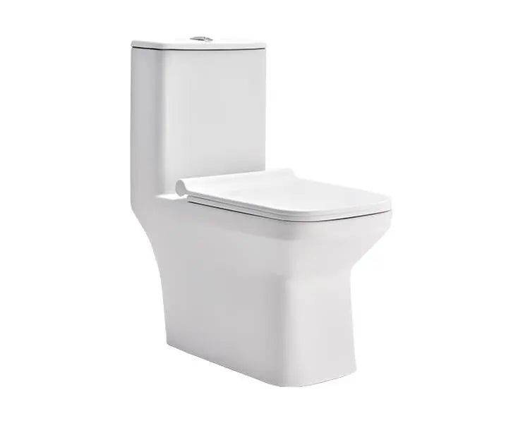 Cera A1014111 Senator Tuscany Rimless One Piece EWC S Trap 300 mm Toilet Seat- 640x350x770 mm