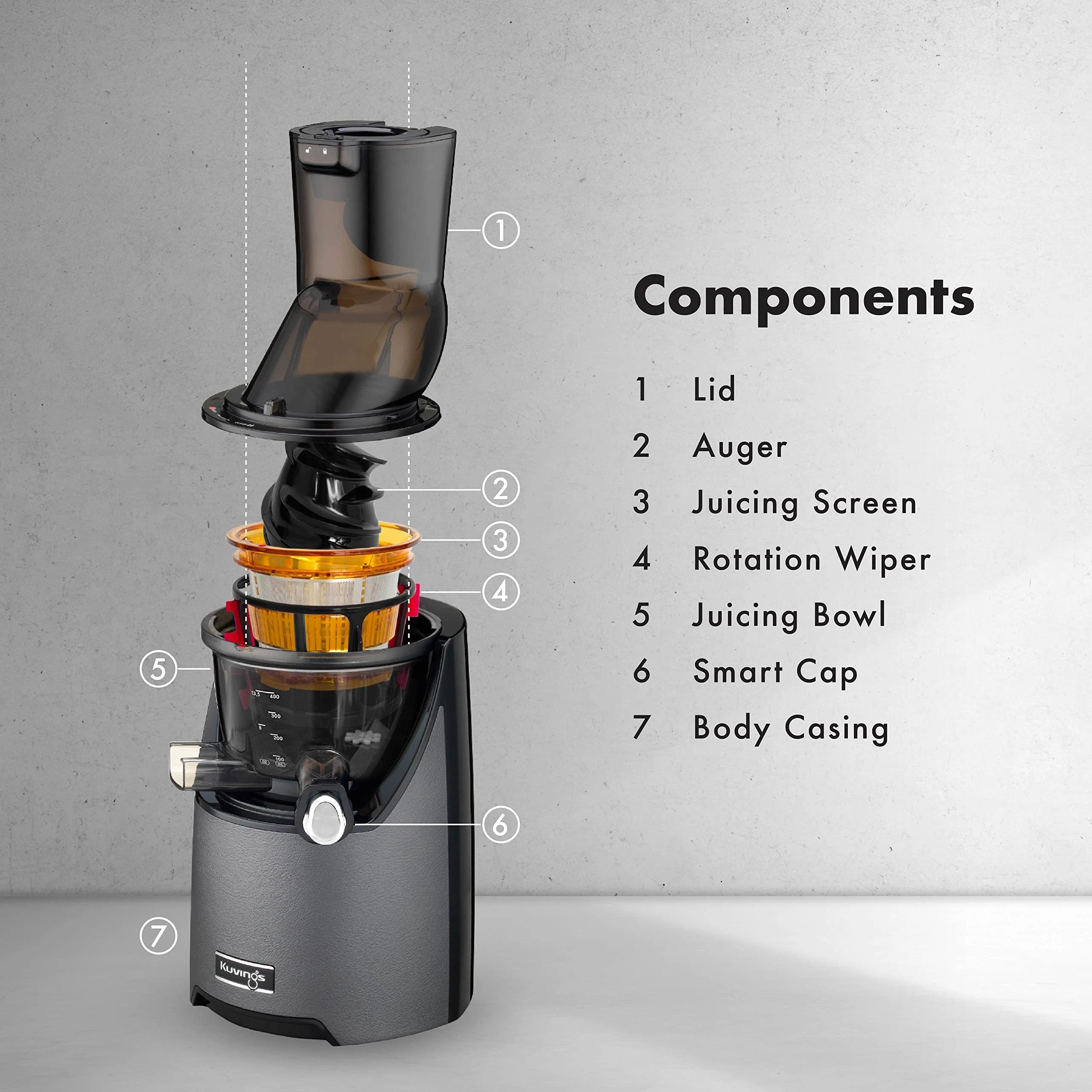 Kuvings EVO820 Black Professional Cold Press Whole Slow Juicer, World's Only Juicer with Patented Rubber & Silicon-Free Technology, All-in-1 Fruit & Vegetable Juicer (EVO820 Black)