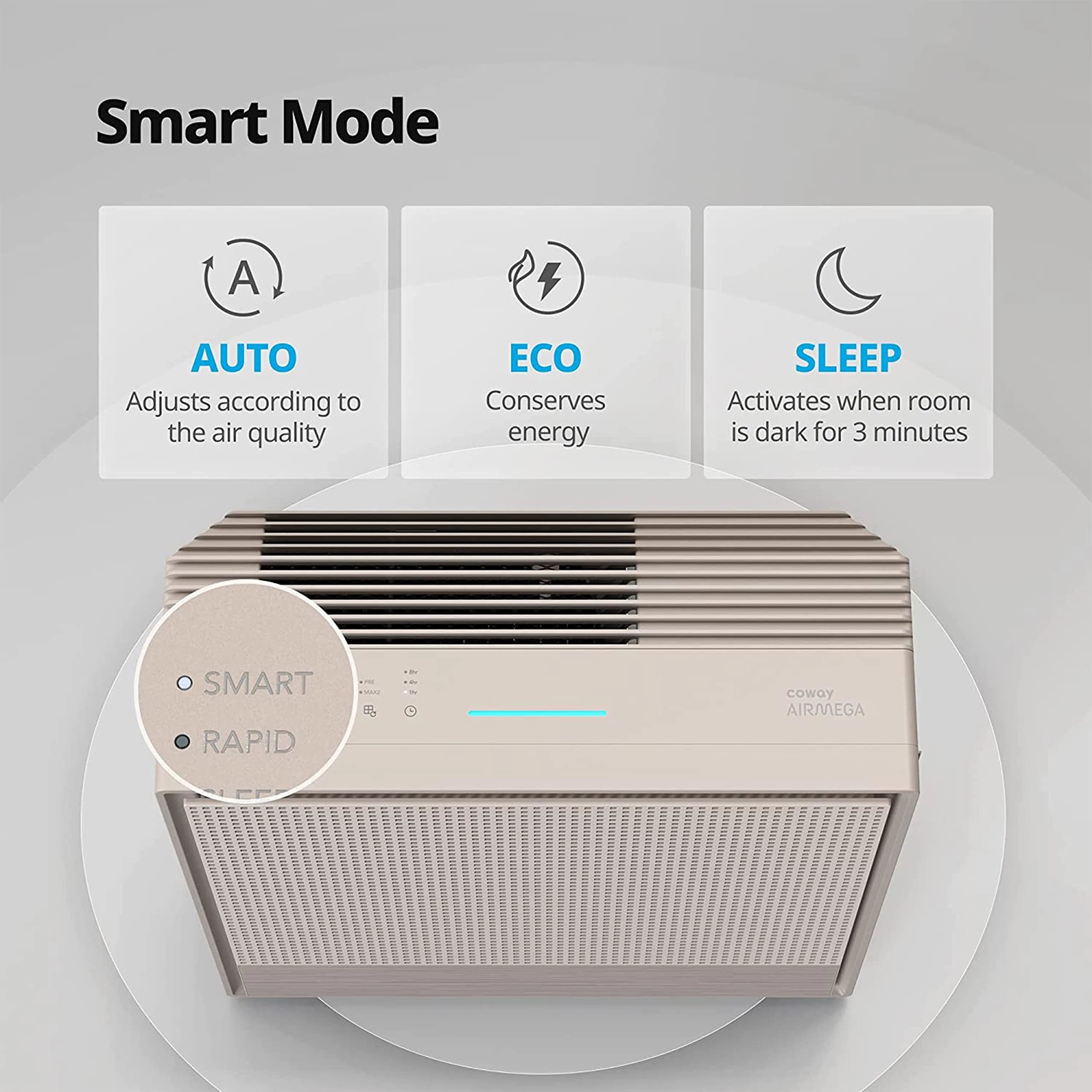 Coway AirMega 250 Professional Air Purifier for Home, Longest Filter Life 8500 Hrs, Green True HEPA Filter, Traps 99.99% Virus & PM 0.1 Particles, Manufacturer Warranty 7 Years