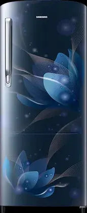 Samsung Refrigerator DC 183 L Single Door 2 Star BEE Rating RR20C1712U8/HL