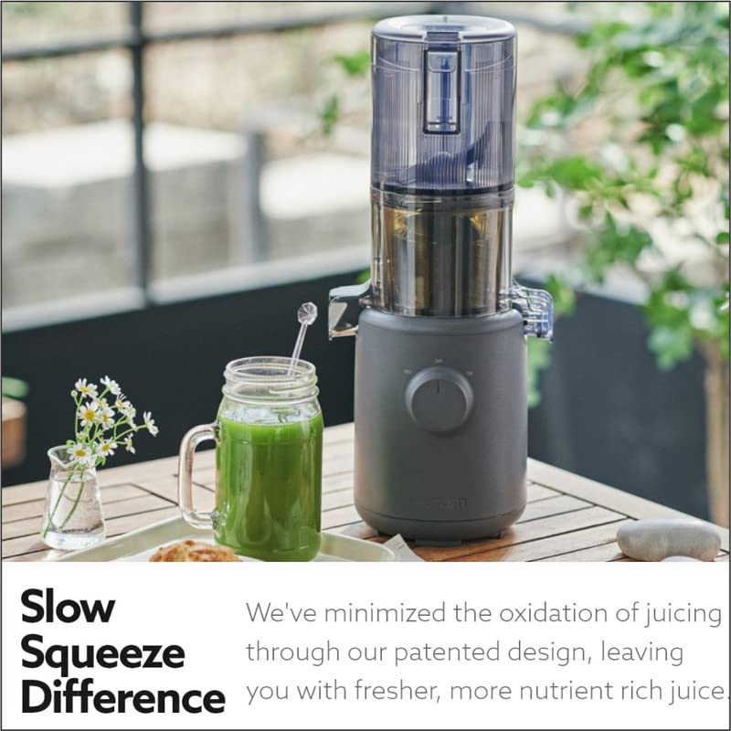 Hurom H310A Self-Feeding Cold Press Whole Slow Juicer All-in-1 multi-screw Technology from soft or hard fruits/vegetables to ice cream Made in Korea Charcoal