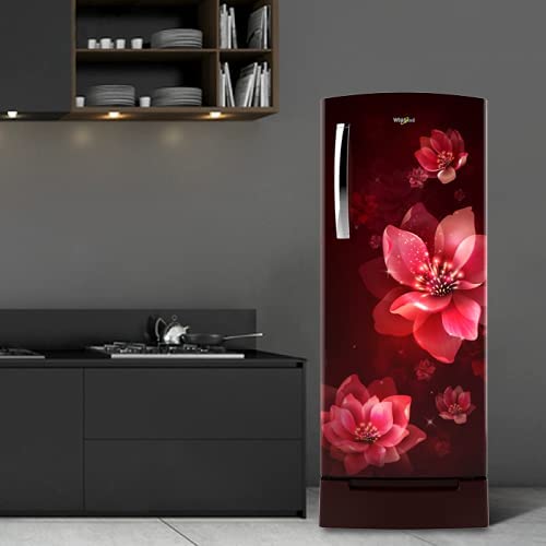 Whirlpool DC 200 L Refrigerator 215 IMPRO Roy 3S Wine Mulia Standard Single Door (71635) 1