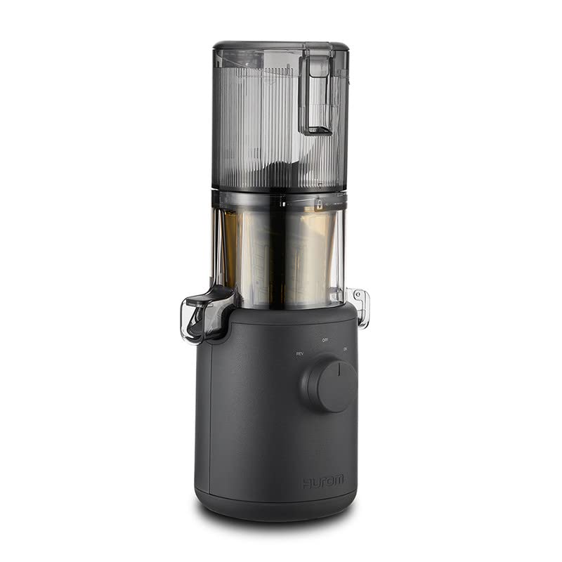 Hurom H310A Self-Feeding Cold Press Whole Slow Juicer All-in-1 multi-screw Technology from soft or hard fruits/vegetables to ice cream Made in Korea Charcoal