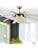 oltao Lily Chandelier Fan Mettalic transparent 8 Blades
