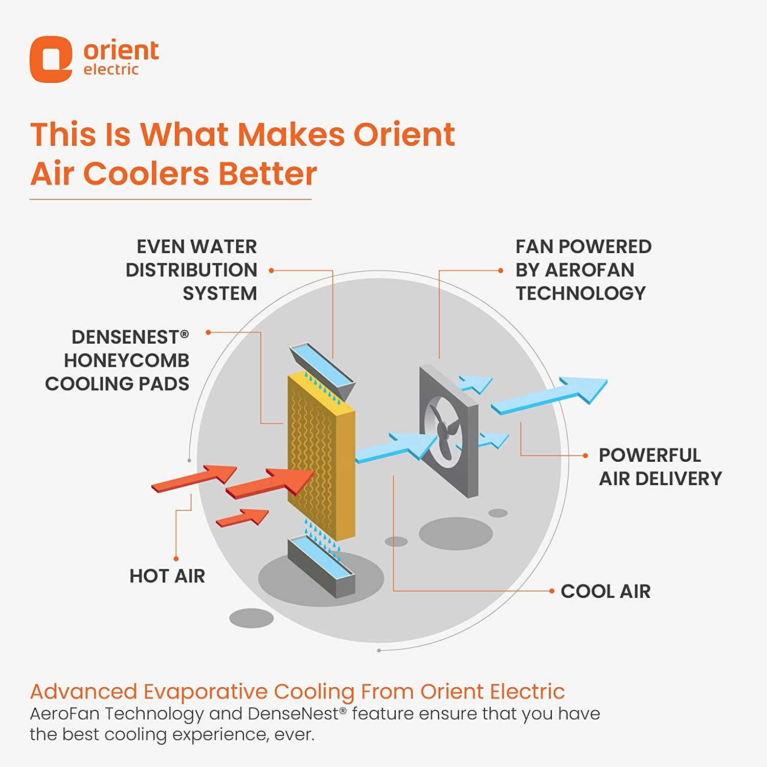 Orient Electric Titan 75L Desert Air Cooler White