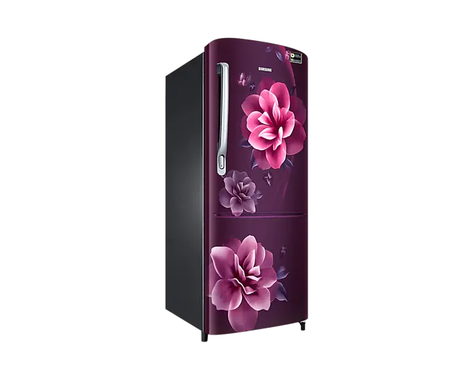 Samsung Refrigerator DC 230 L Single Door 3 Star BEE Rating RR24C2723CR/NL