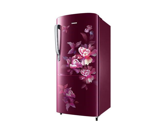 Samsung Refrigerator DC 183 L Single Door 4 Star BEE Rating RR20C1724HN/HL