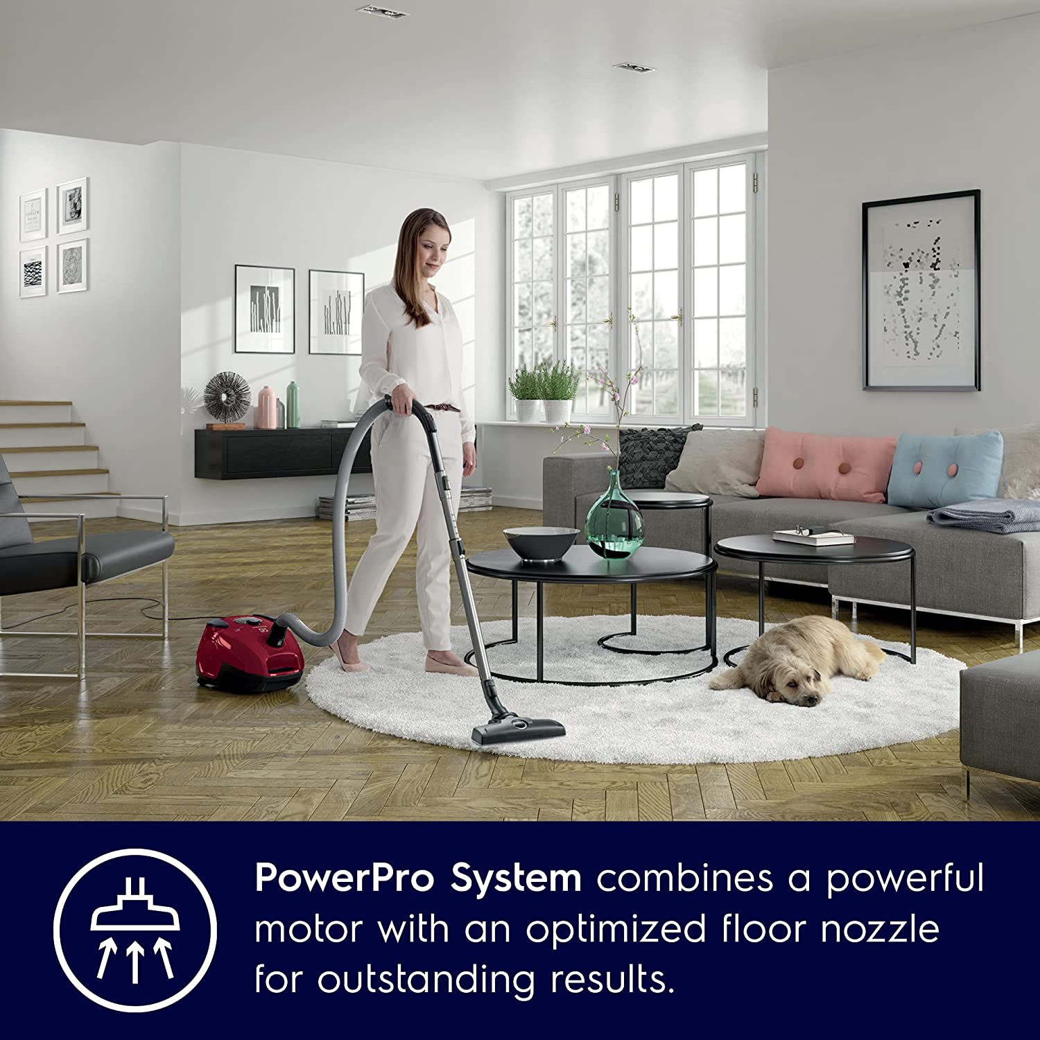 Electrolux ZSP2320T Silent Performer canister  vacuum cleaner