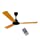 Orpat BLDC Ceiling Fan  Birch Wood