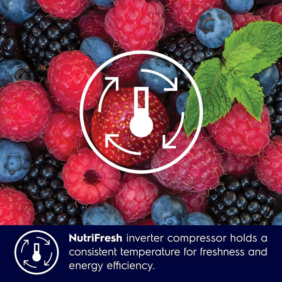 ELECTROLUX 545L Frost Free Inverter Side-by-Side Door Refrigerator, TasteLock Technology, Multidoor Flexibility, Matte Black Steel, UltimateTaste 700, ESE5401A-B