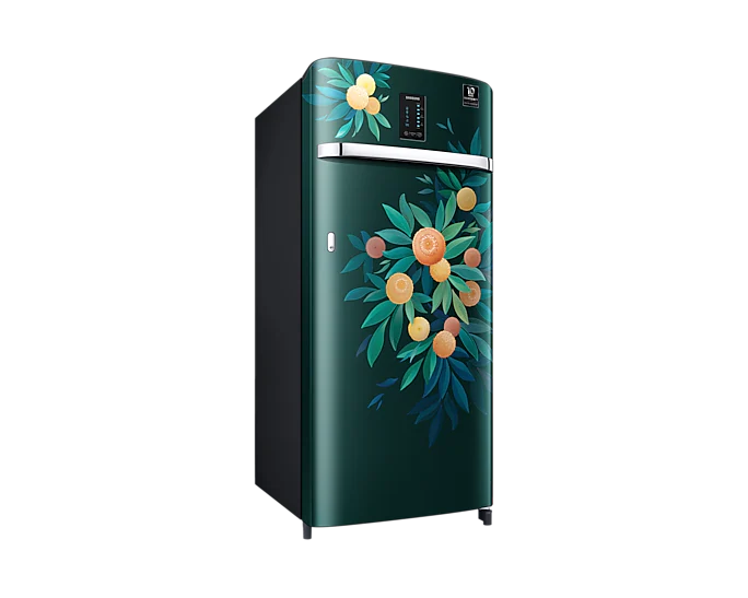 Samsung 215L 4 Star Inverter Direct-Cool Single Door Digi-Touch Refrigerator RR23C2E24NL/HL