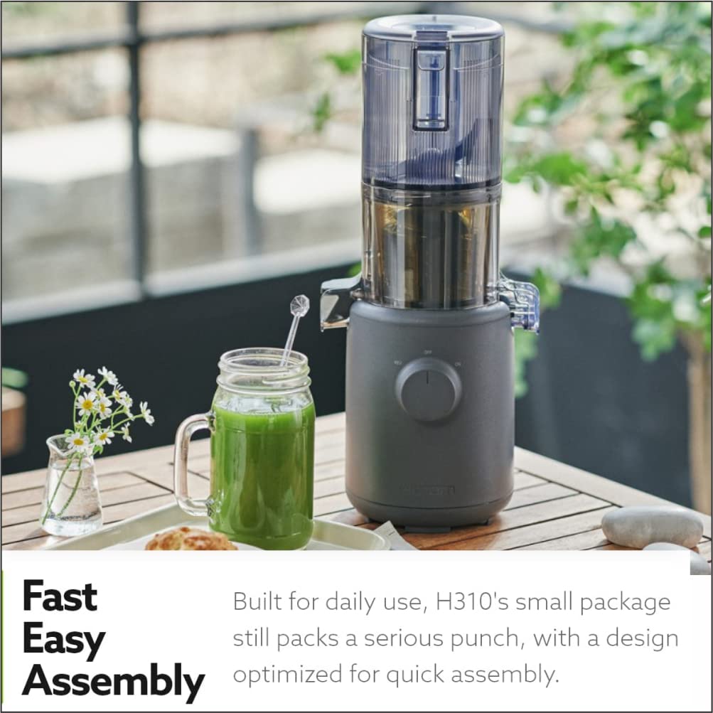 Hurom H310A Self-Feeding Cold Press Whole Slow Juicer All-in-1 multi-screw Technology from soft or hard fruits/vegetables to ice cream Made in Korea Charcoal