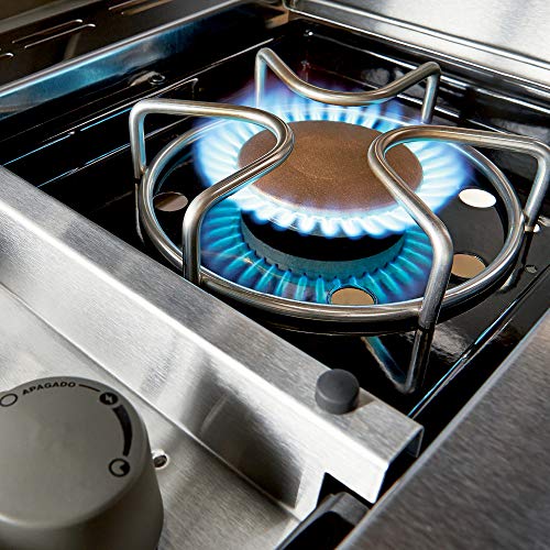 Weber Summit 7370001 S-670 Stainless-Steel 769-Square-Inch 60,800-BTU Liquid-Propane Gas Grill