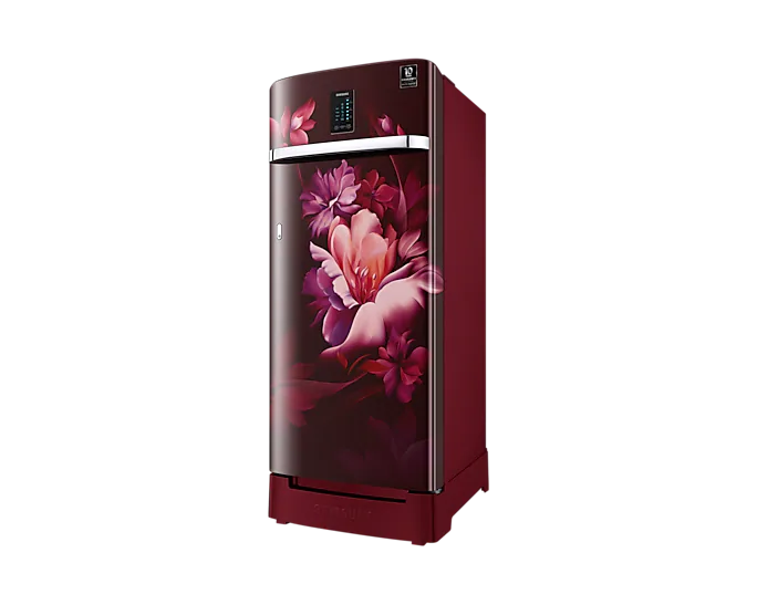 Samsung 209L 3 Star Inverter Direct-Cool Single Door Digi-Touch Curd Maestro Refrigerator RR23C2K33RZ/HL