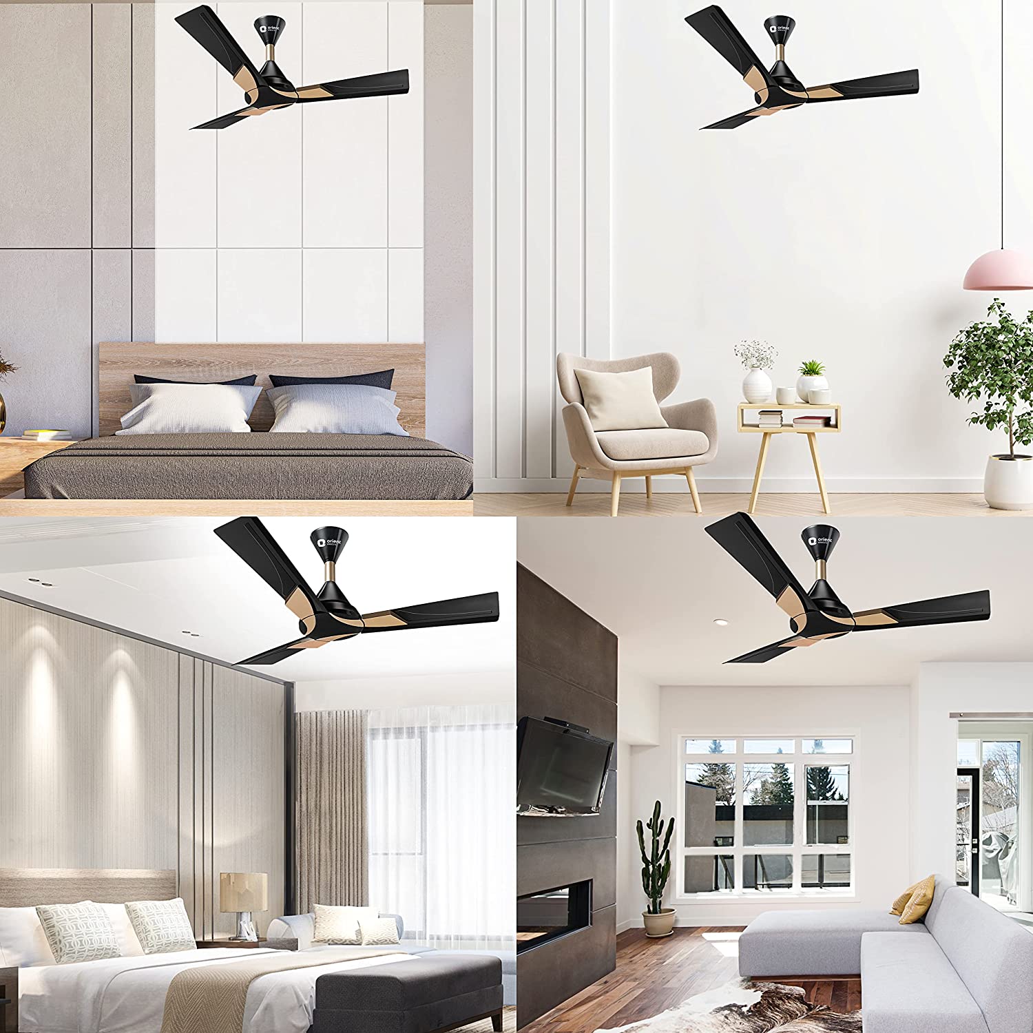 Orient Electric Wendy Ceiling Fan Metallic Black - Gold 48" 1200mm