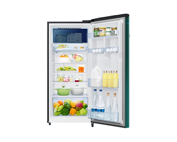 Samsung 215L 4 Star Inverter Direct-Cool Single Door Digi-Touch Refrigerator RR23C2E24NL/HL