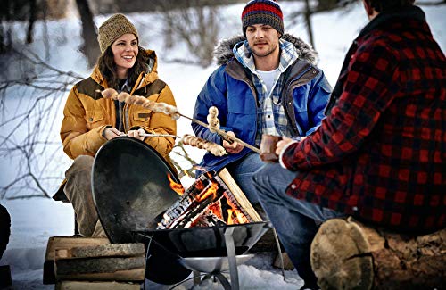 Weber 2750 Outdoor Fireplace