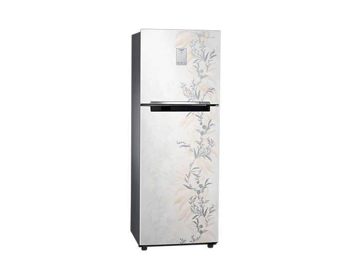 Samsung 244 L 3 Star Frost-Free Double Door Refrigerator RT28T3A336W/HL