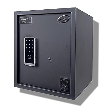 Maxwel Biometric Safe Locker-FORT SAFE AB BIO -66 BLACK