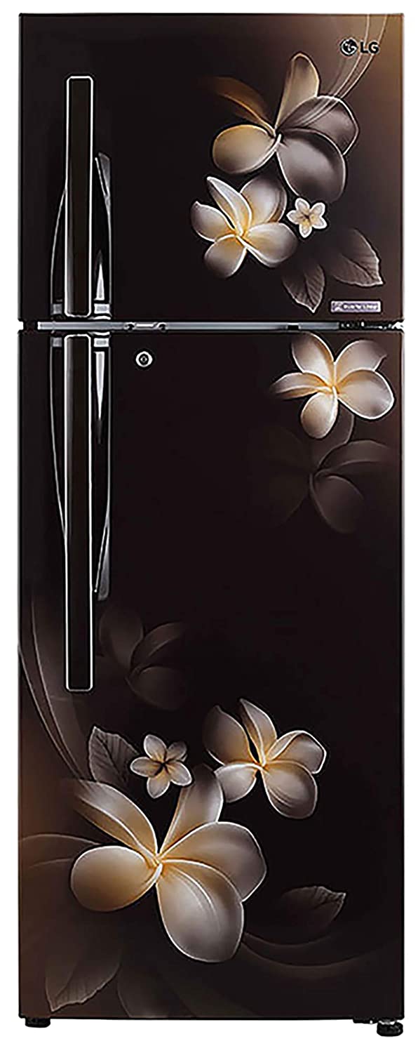 LG 308 L 3 Star Inverter Linear Frost-Free Double-Door Refrigerator (GL-T322RHPN, Hazel Plumeria, Convertible)