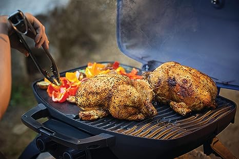 Napoleon Portable Travel Q LPG Gas Grill TQ 285 BK - 1 - CE Black