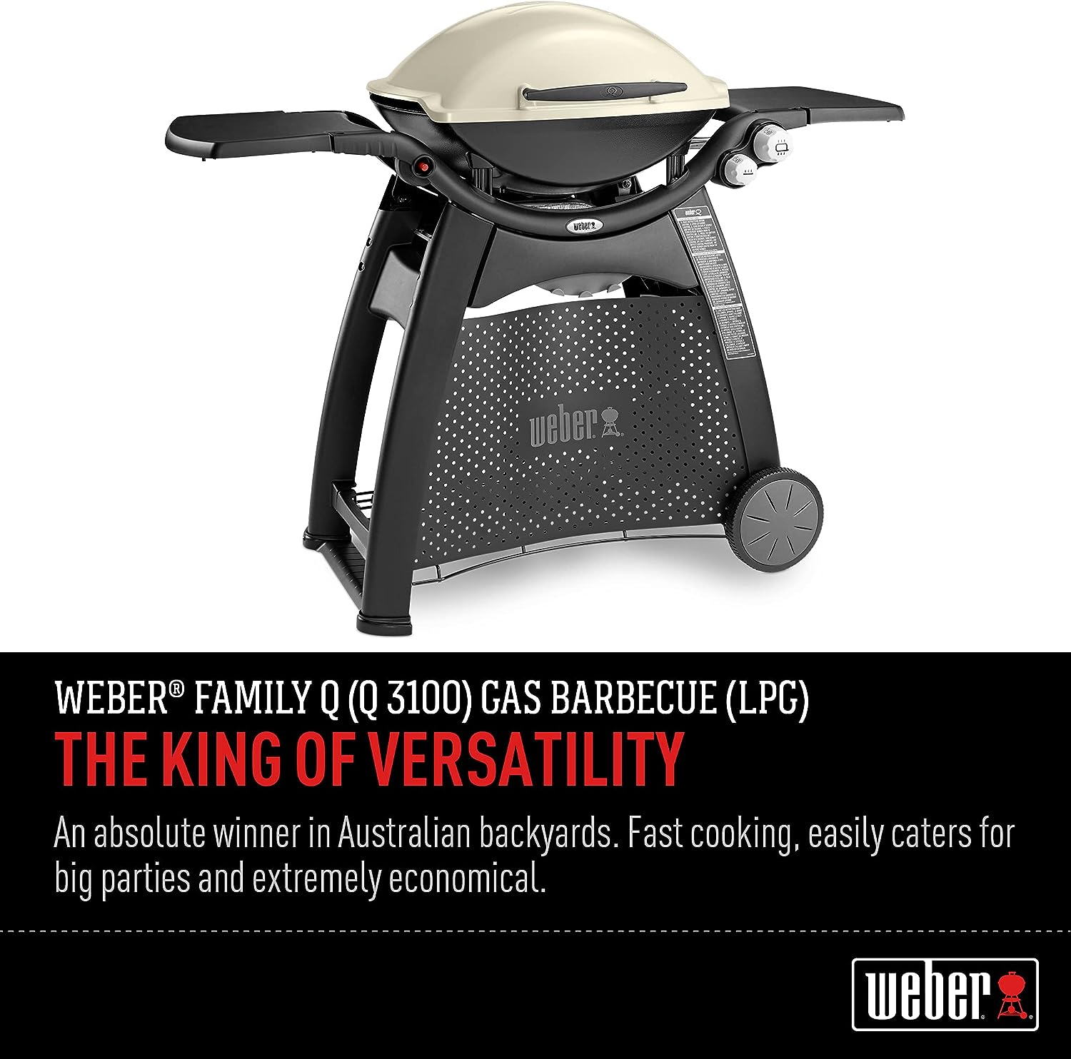 Weber Family Q - 3100 Titanium (Q3100) Barbeque Gas Grill