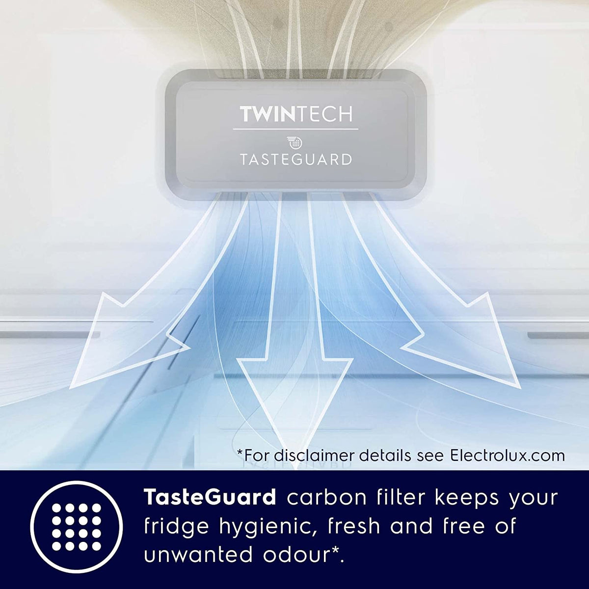 Electrolux ETE5700C TwinTech TasteGuard carbon filter airflow illustration