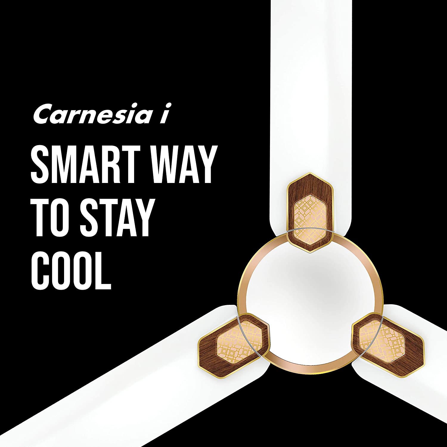 Havells Car-ne-sia i 1200mm Ceiling Fan (White Gold)