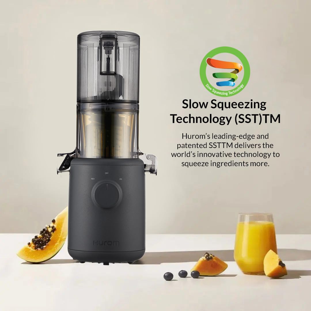 Hurom H310A Self-Feeding Cold Press Whole Slow Juicer All-in-1 multi-screw Technology from soft or hard fruits/vegetables to ice cream Made in Korea Charcoal
