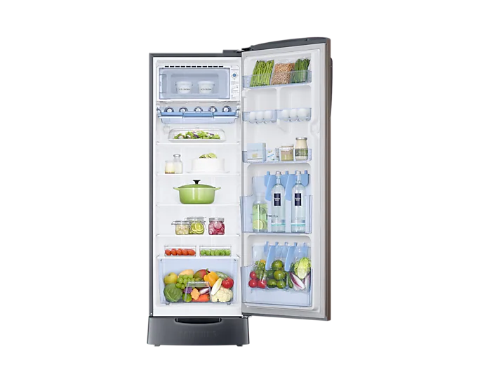 Samsung 246L 3 Star Inverter Direct-Cool Single Door Refrigerator RR26C3893DX/HL