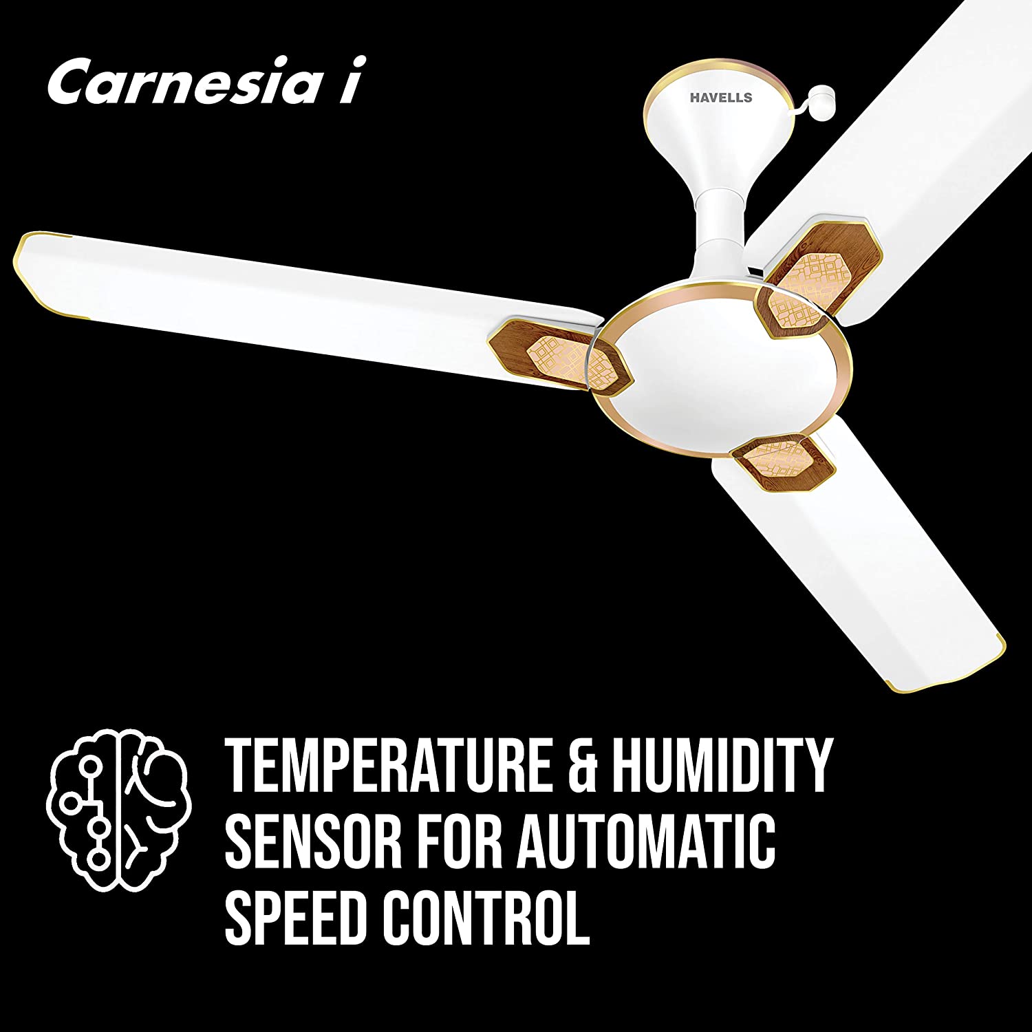 Havells Car-ne-sia i 1200mm Ceiling Fan (White Gold)